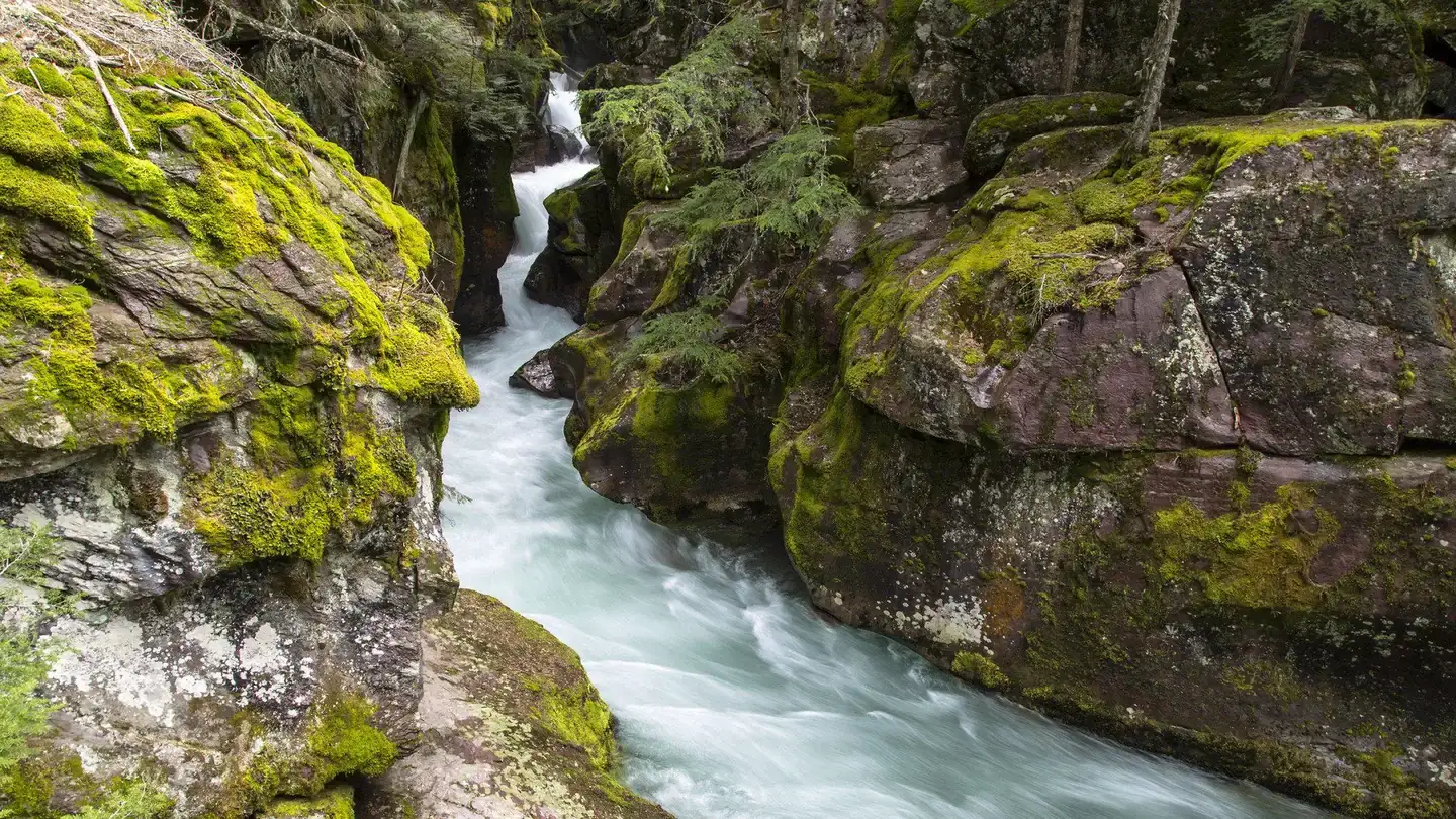 Camper-submitted photo at Avalanche Campground — Glacier National Park near Glacier National Park