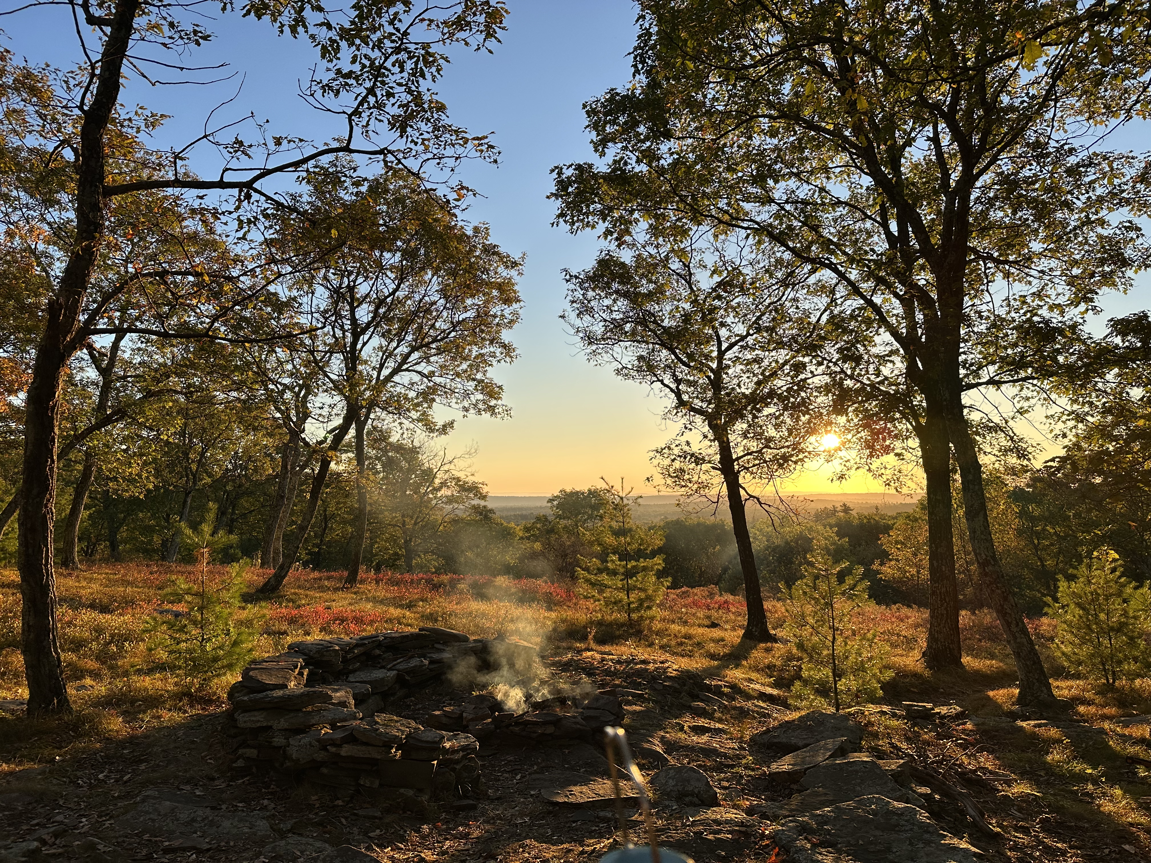 Camper submitted image from Osa Trail - 3