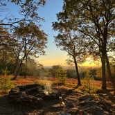 Review photo of Osa Trail by John F., October 21, 2025