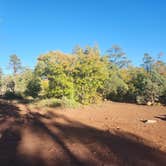 Review photo of Forest Road 104, near Mingus Mtn, AZ by Greg H., October 21, 2025