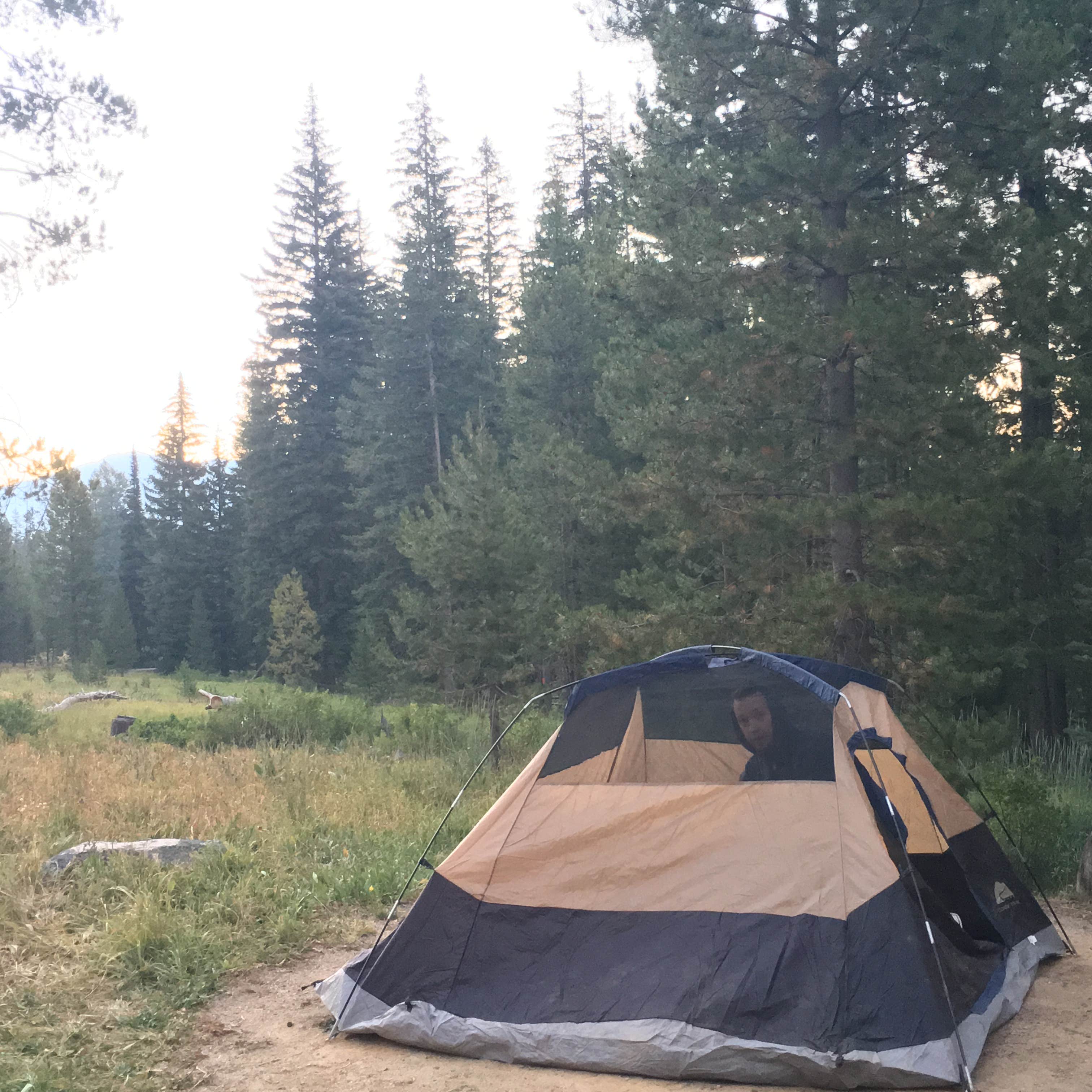 Kelly G.'s photo at Smokey Bear near Sawtooth National Forest