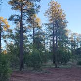 Review photo of Forest Road 104, near Mingus Mtn, AZ by Greg H., October 21, 2025