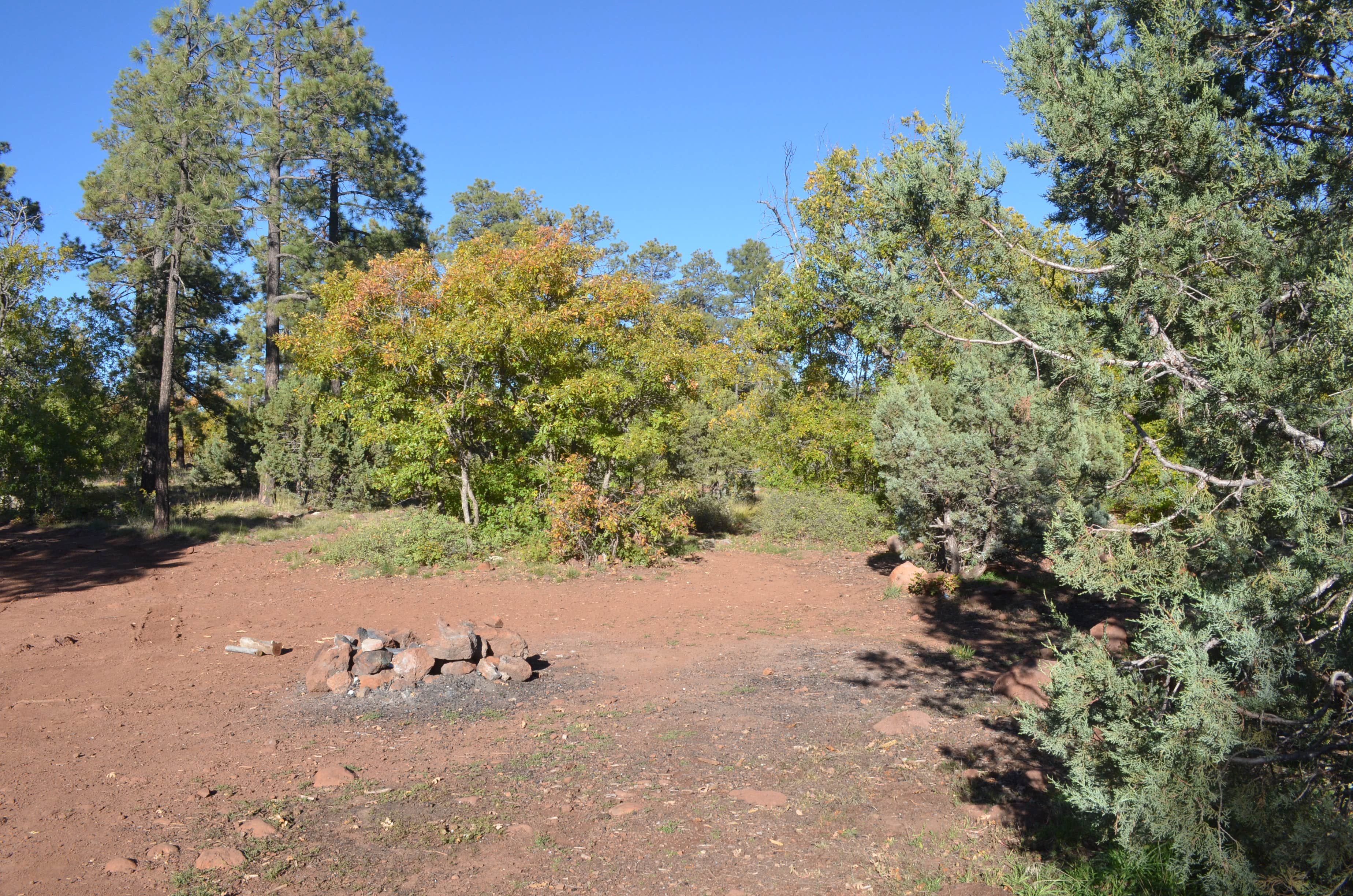 Camper submitted image from Forest Road 104, near Mingus Mtn, AZ - 3