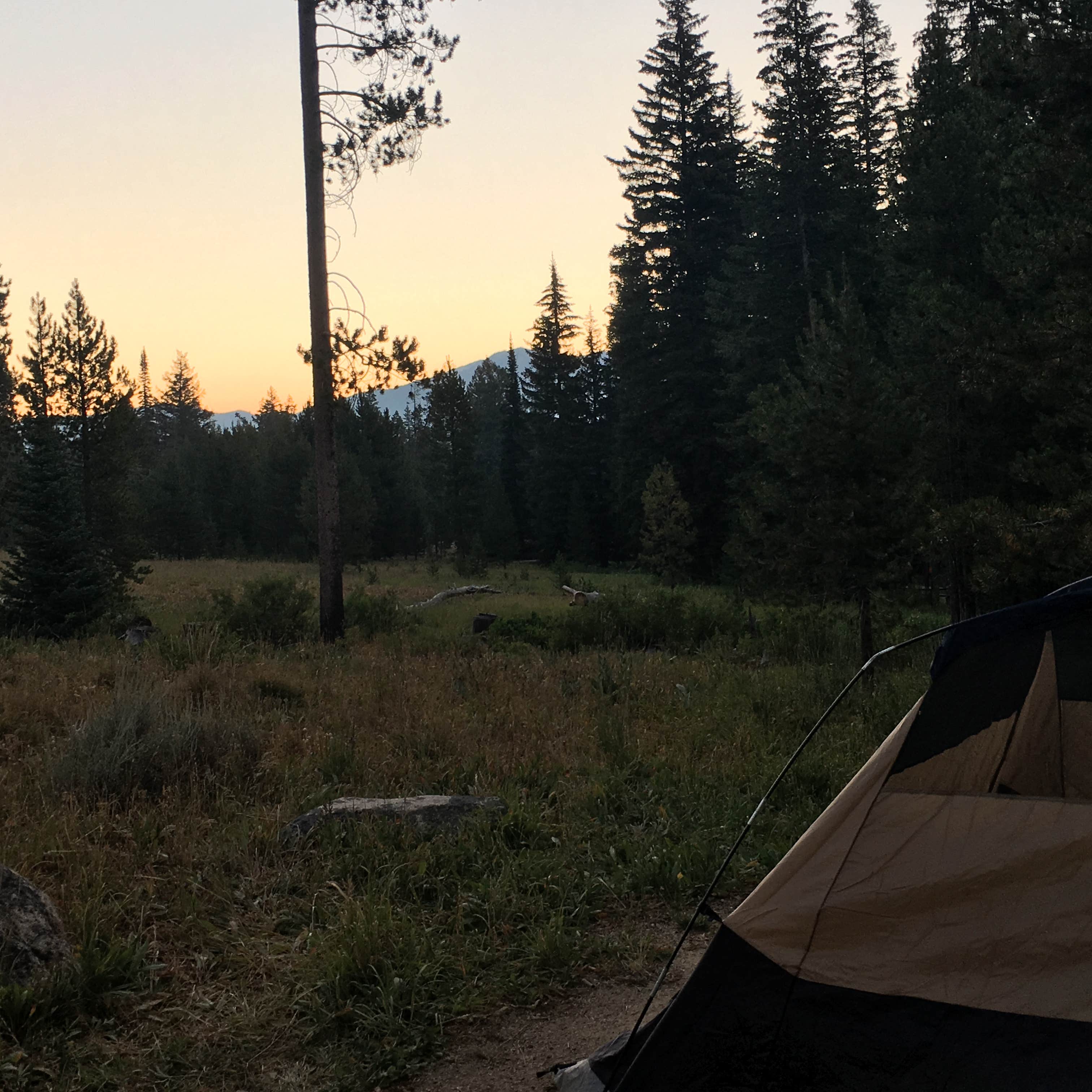 Camper submitted image from Smokey Bear - 5