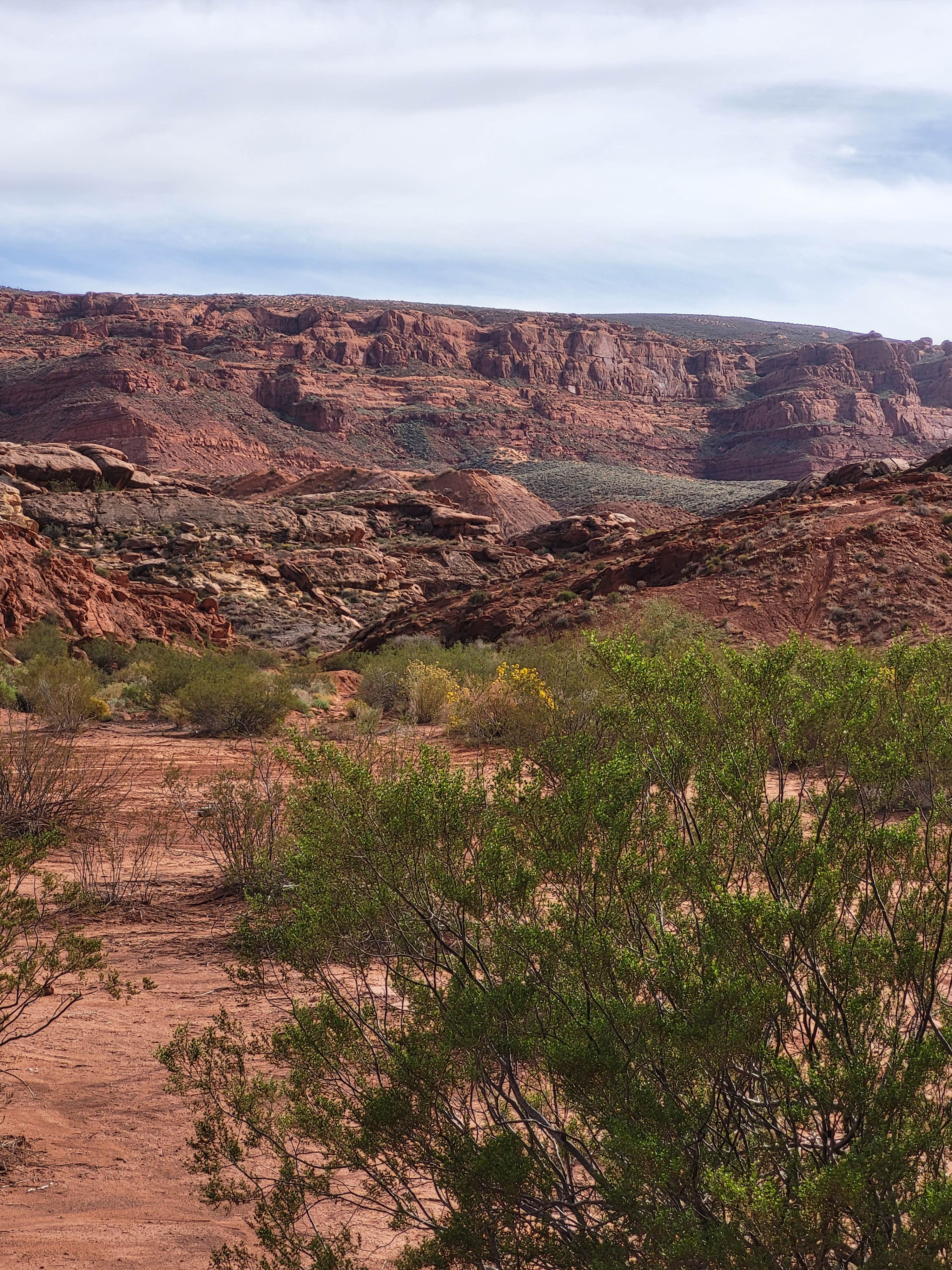 Camper-submitted photo at Sand Hollow OHV Camp near Mesquite, NV