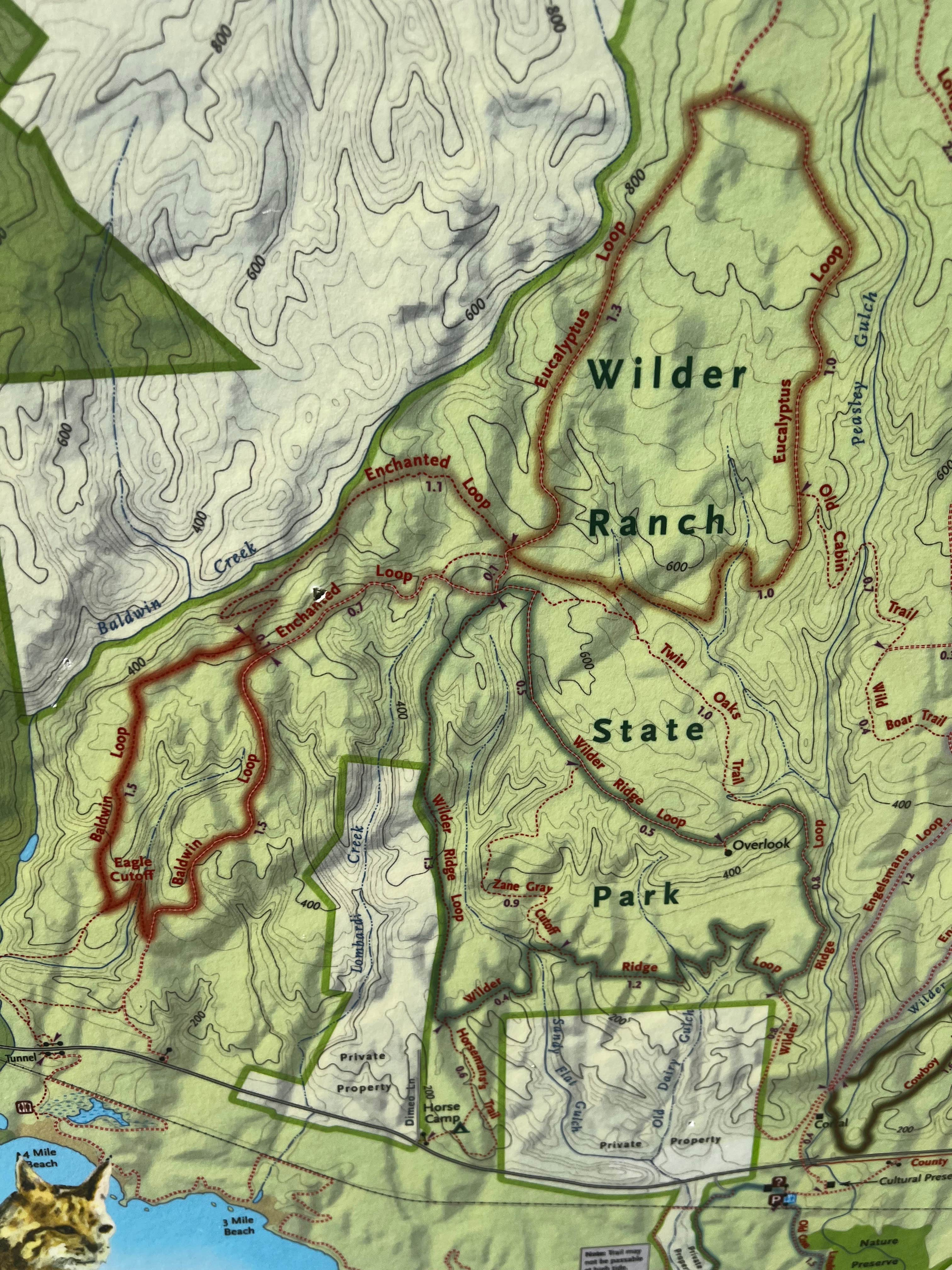 Patrick J.'s photo of camping with pets at Santa Cruz Redwoods RV Resort near San Jose, CA