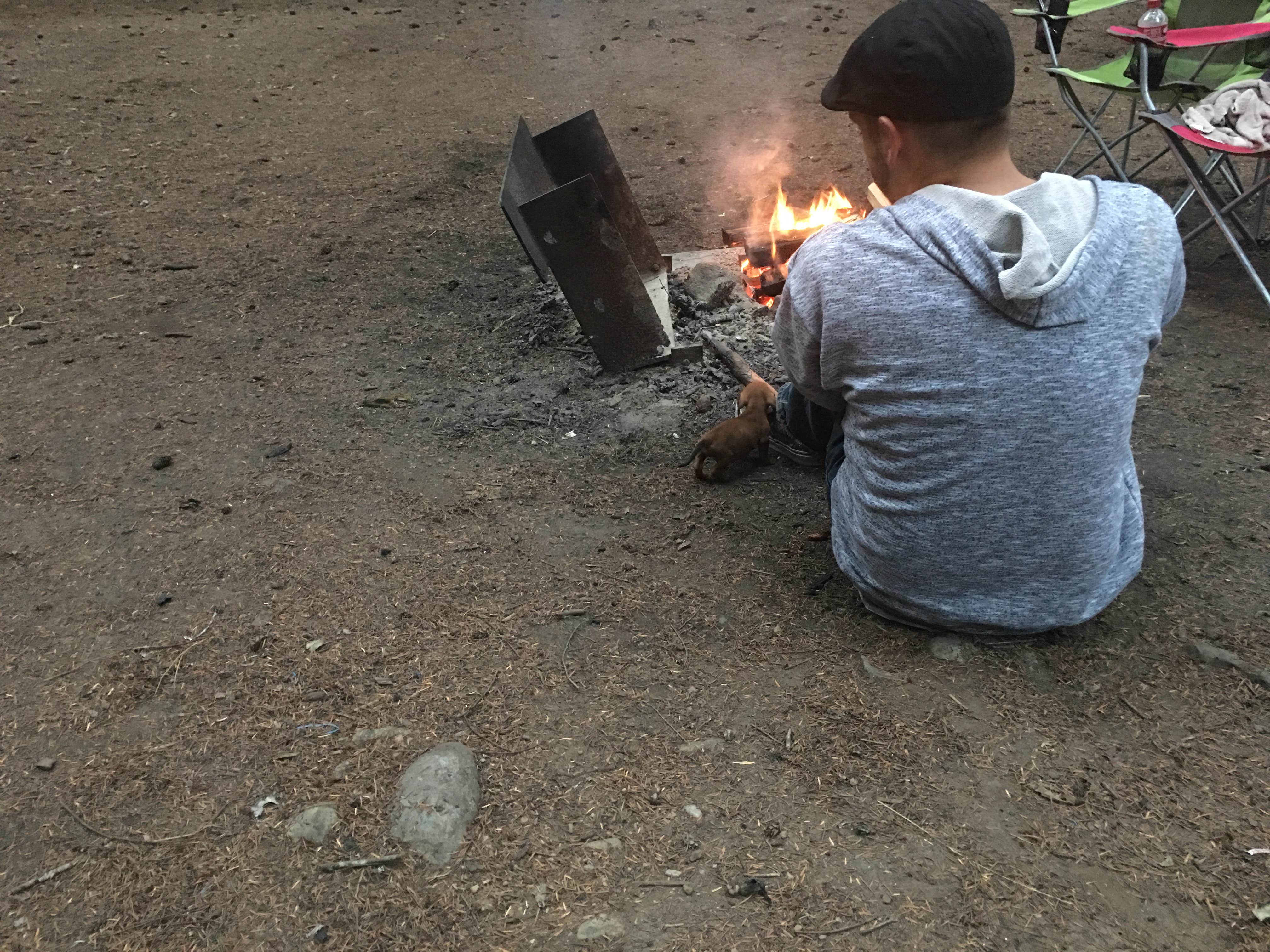 Kelly G.'s photo at Packwood RV Park & Campground near Longmire, WA