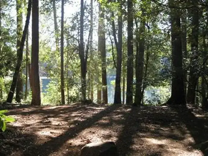 Camper-submitted photo at Fish Lake Campground near Somes Bar, CA