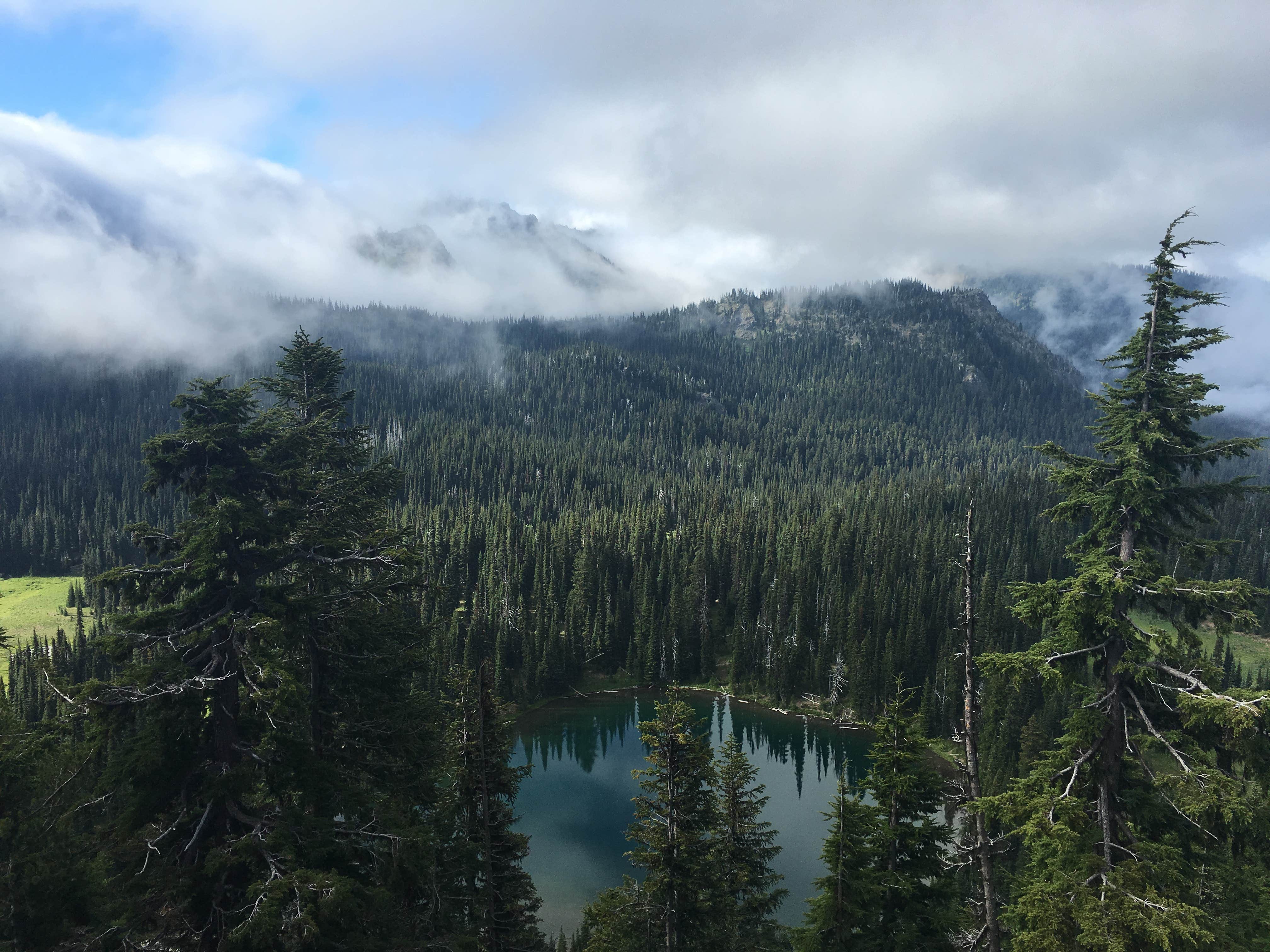 Camper-submitted photo at Packwood RV Park & Campground near White Pass, WA