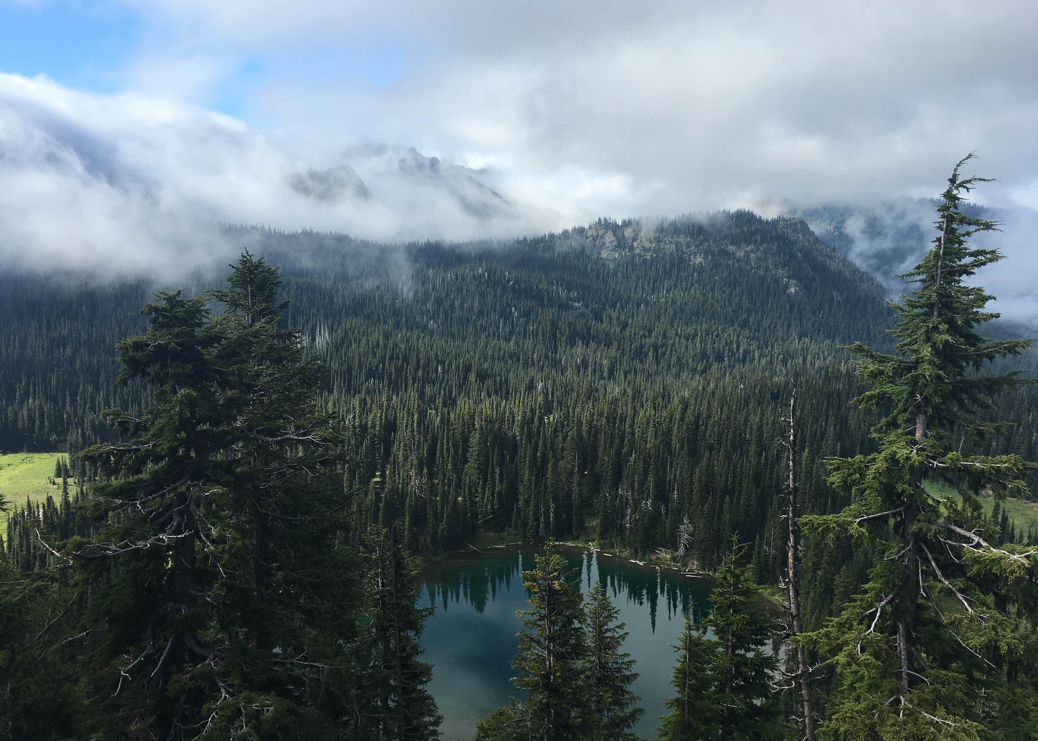 Packwood RV Park & Campground Camping The Dyrt