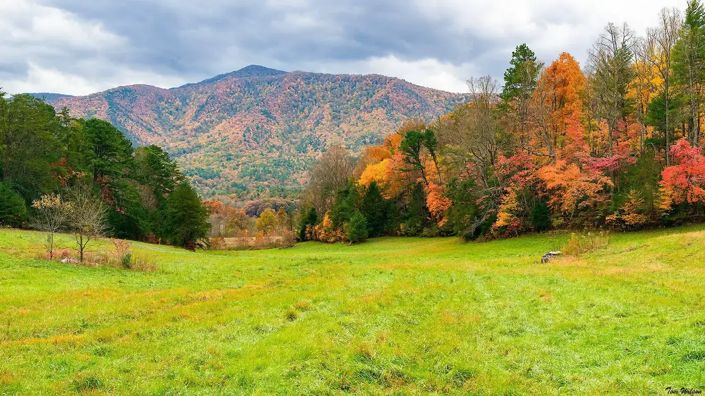 Camper-submitted photo at Cades Cove Group Campground — Great Smoky Mountains National Park near Townsend, TN