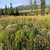 Review photo of Dutch Hill Campground — Steamboat Lake State Park by Jeane L., August 7, 2019