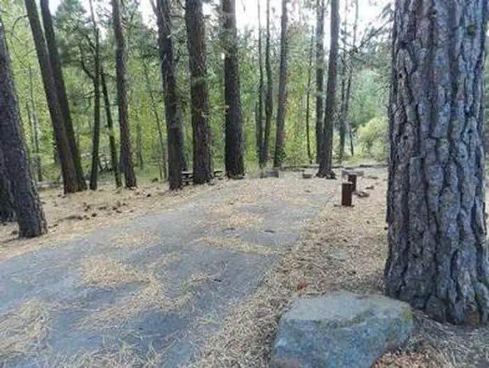 Camper submitted image from Cottonwood Campground - 1