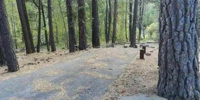 Camper submitted image from Cottonwood Campground