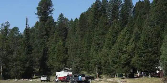 Camper submitted image from Steel Creek Group Campground