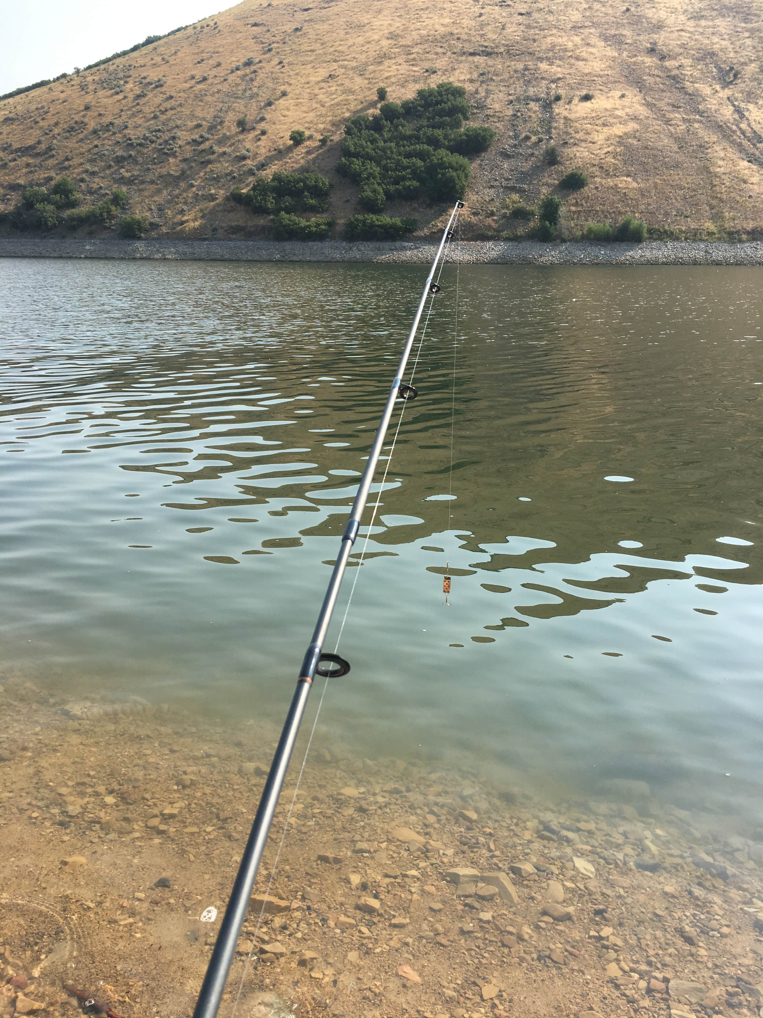 Camper submitted image from Great Horned Owl Campground — Deer Creek State Park - 4