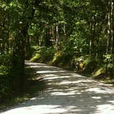 Review photo of Middle Fork Campground — Natural Bridge State Resort Park by Shelly S., September 24, 2016