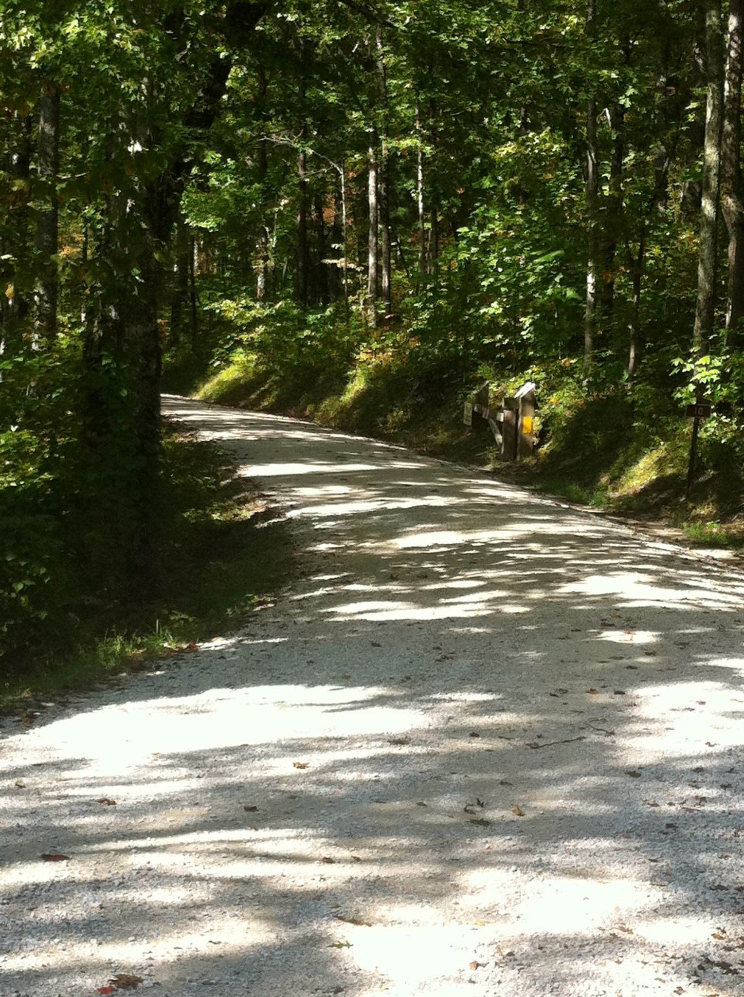 Camper submitted image from Middle Fork Campground — Natural Bridge State Resort Park - 2