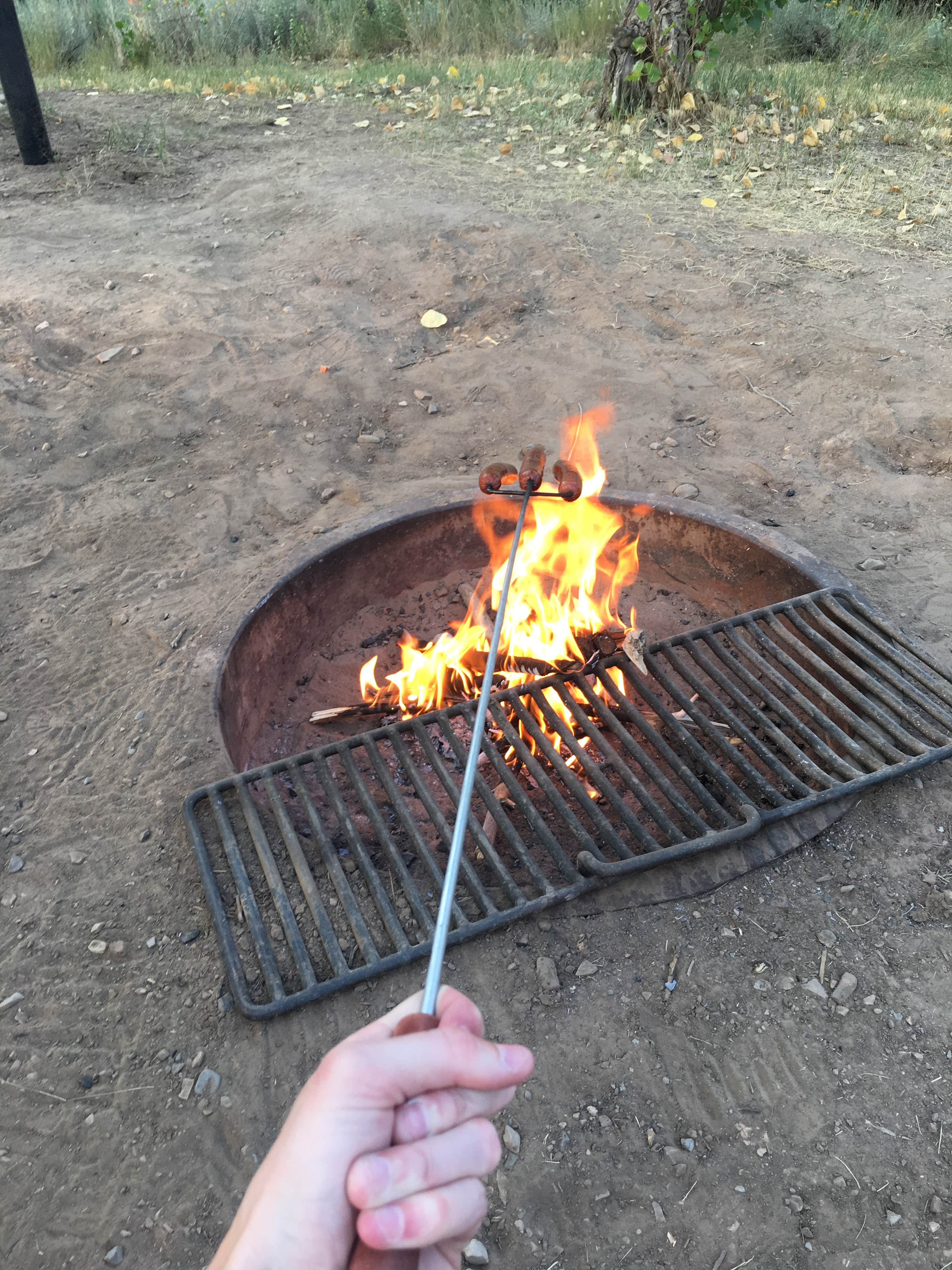 Camper submitted image from Great Horned Owl Campground — Deer Creek State Park - 2