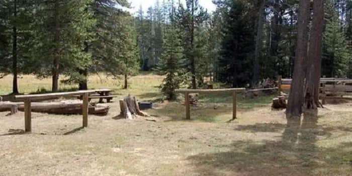 Camper submitted image from Little Lasier Meadows Campground