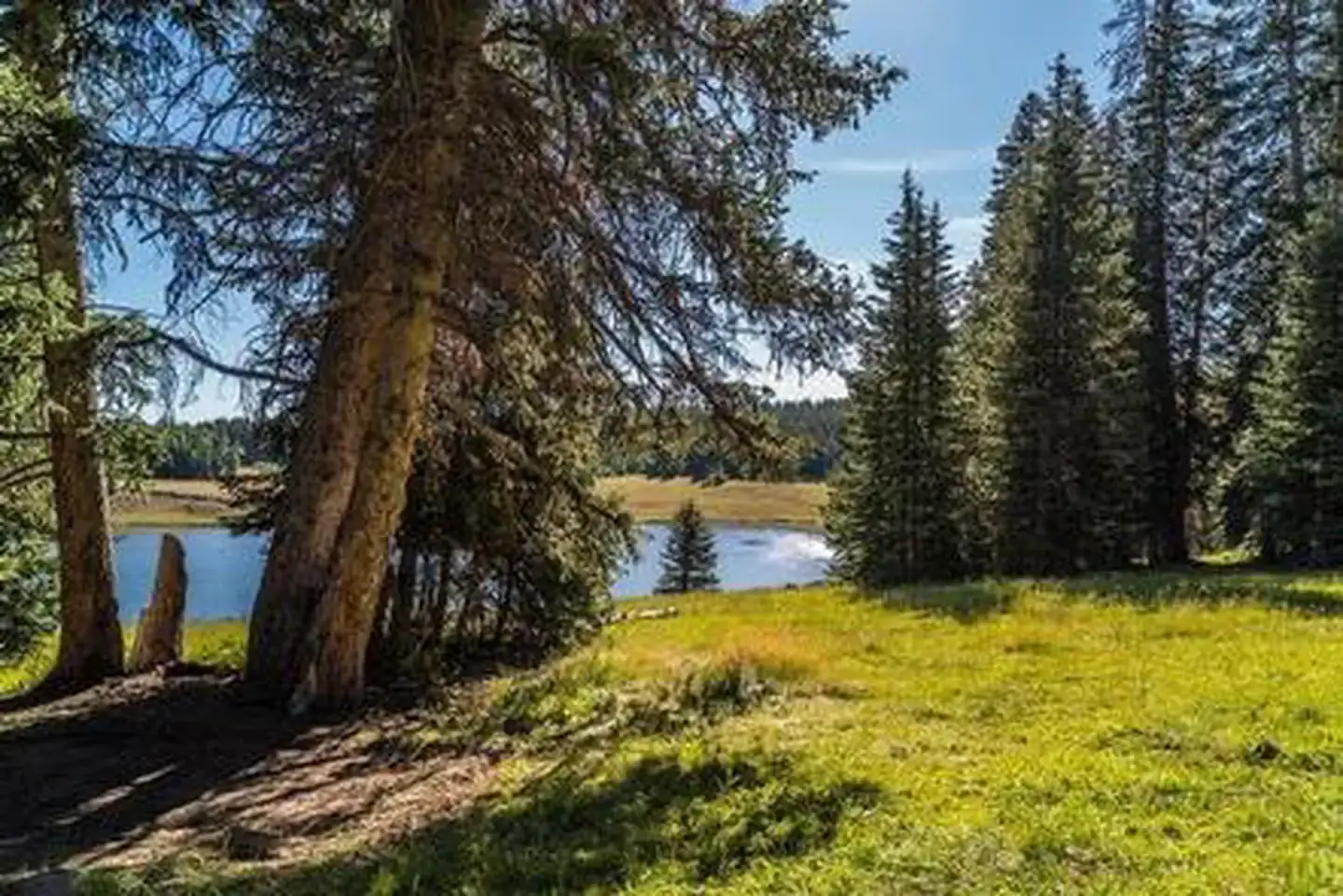 Camper-submitted photo at LeBaron Reservoir Campground near Junction, UT