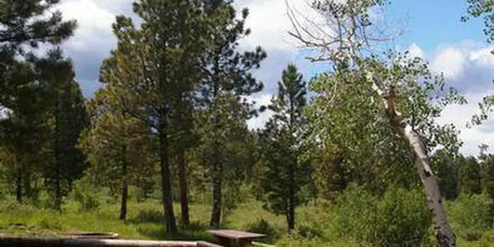 Camper submitted image from Skull Creek