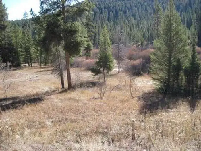 Camper-submitted photo at Steel Creek Group Campground near Spencer, ID