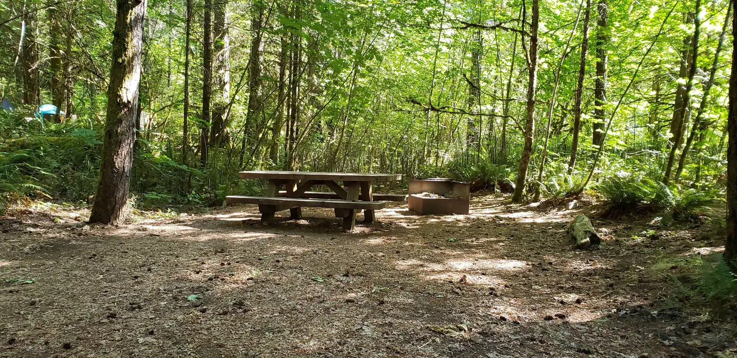 Camping near Camas Creek Campground: Horseshoe Bend, Clearwater, Oregon