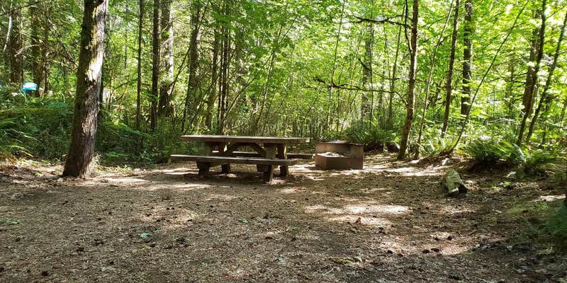 Camper submitted image from Horseshoe Bend