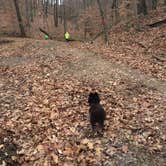 Review photo of Salt Fork State Park Campground by Shelly S., August 5, 2016