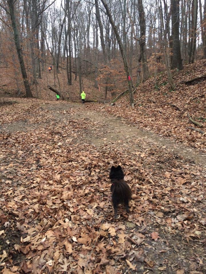 Camper submitted image from Salt Fork State Park Campground - 5