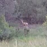 Review photo of Cold Brook Lake Campground by Donna E., August 7, 2019