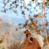Review photo of Havasupai Gardens Campground — Grand Canyon National Park by Leah W., September 24, 2016