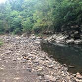 Review photo of Devil's Den State Park Campground by Cate S., August 7, 2019