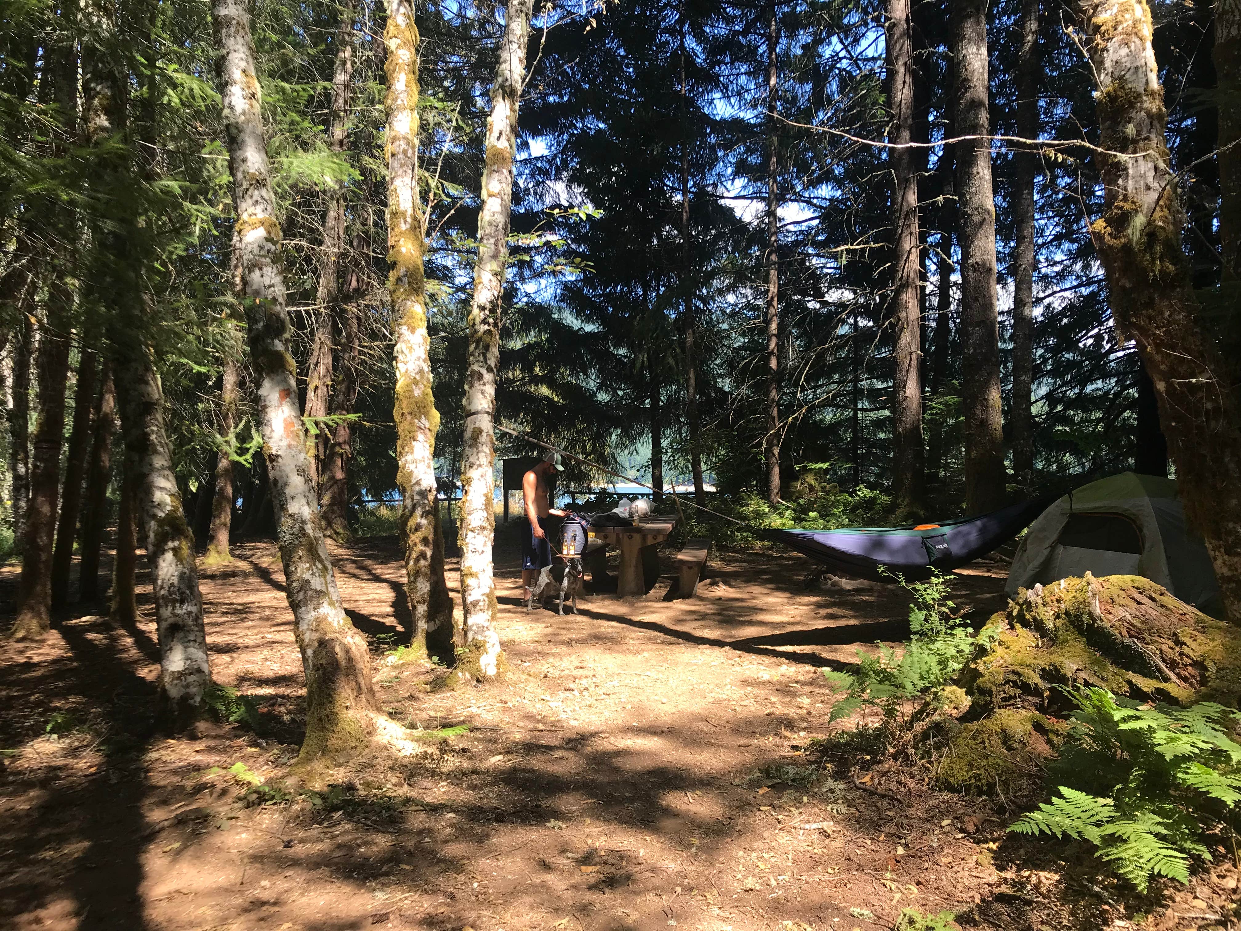 Chrissy T.'s photo at Piety Island Boat - In Campground Boat Landing near Gates, OR