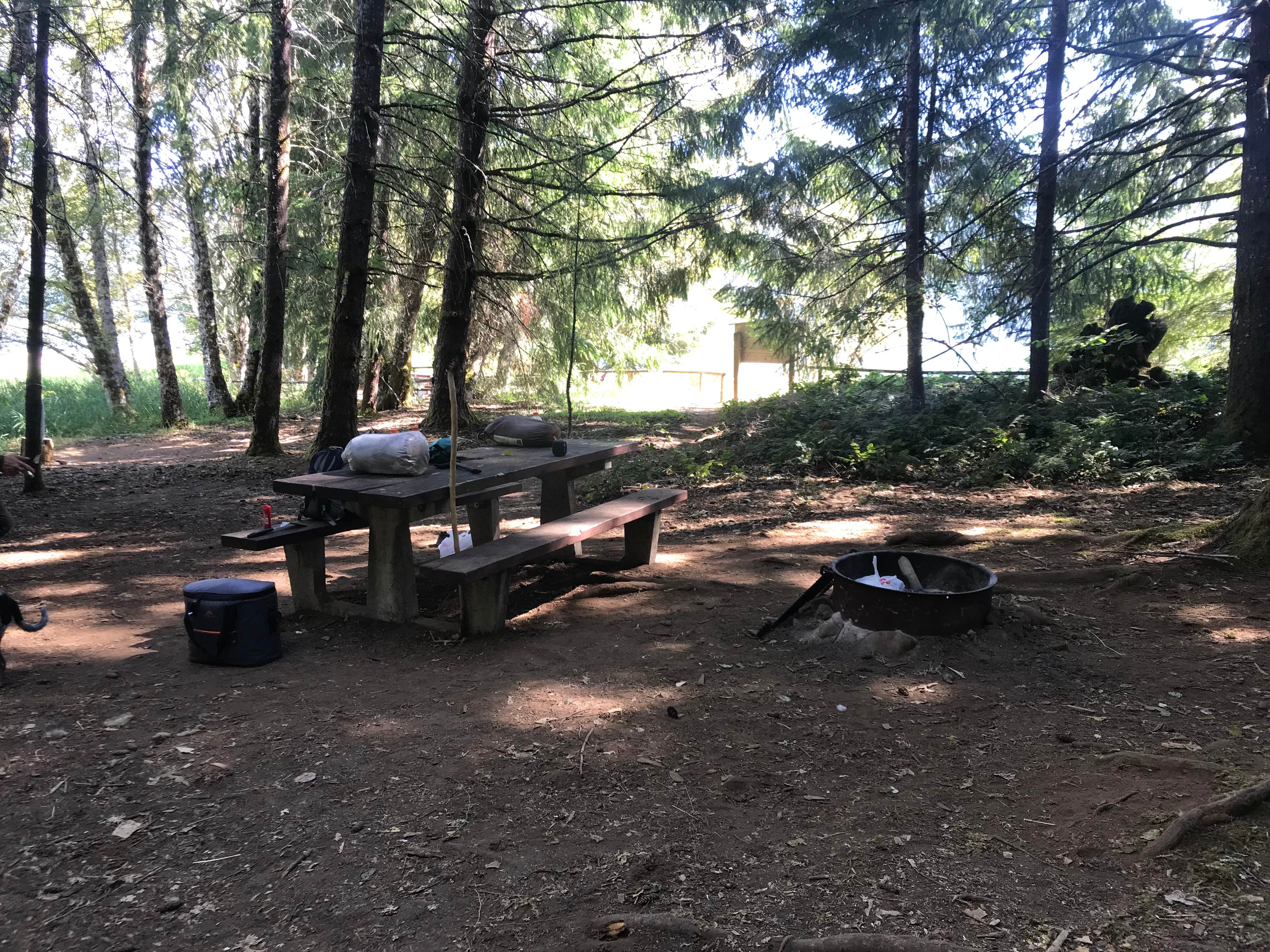 Camper submitted image from Piety Island Boat - In Campground Boat Landing - 2
