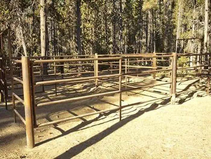 Camper submitted image from Whitefish Horse Camp - 1