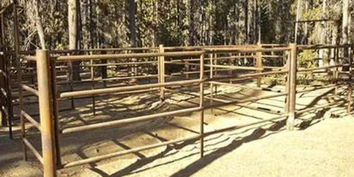 Camper submitted image from Whitefish Horse Camp