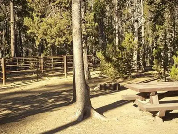 Camper-submitted photo at Whitefish Horse Camp near Umpqua National Forest