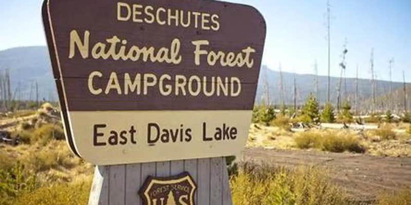 Camper submitted image from East Davis Campground