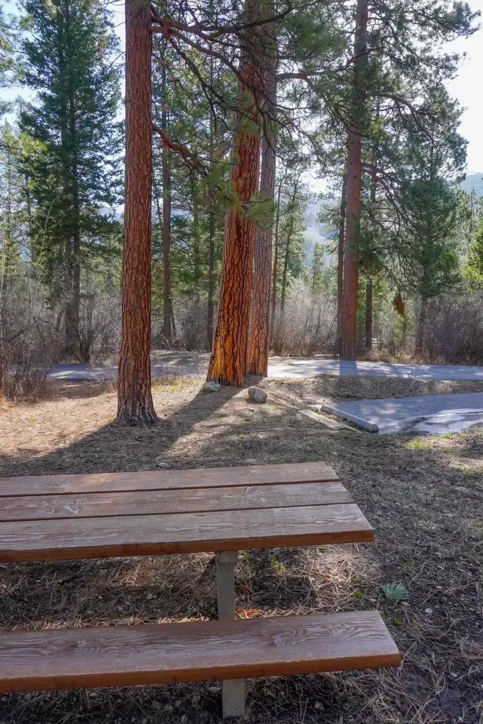 Camper-submitted photo at Indian Trees Campground near Conner, MT