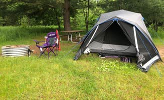 Kitty B.'s photo of tent camping at House Lake State Campground near Remus, MI