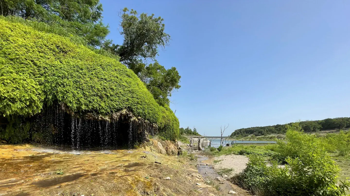 Camper-submitted photo at Russell Park near Georgetown Lake
