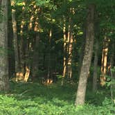Review photo of Mammoth Cave Campground — Mammoth Cave National Park by Lona T., August 7, 2019