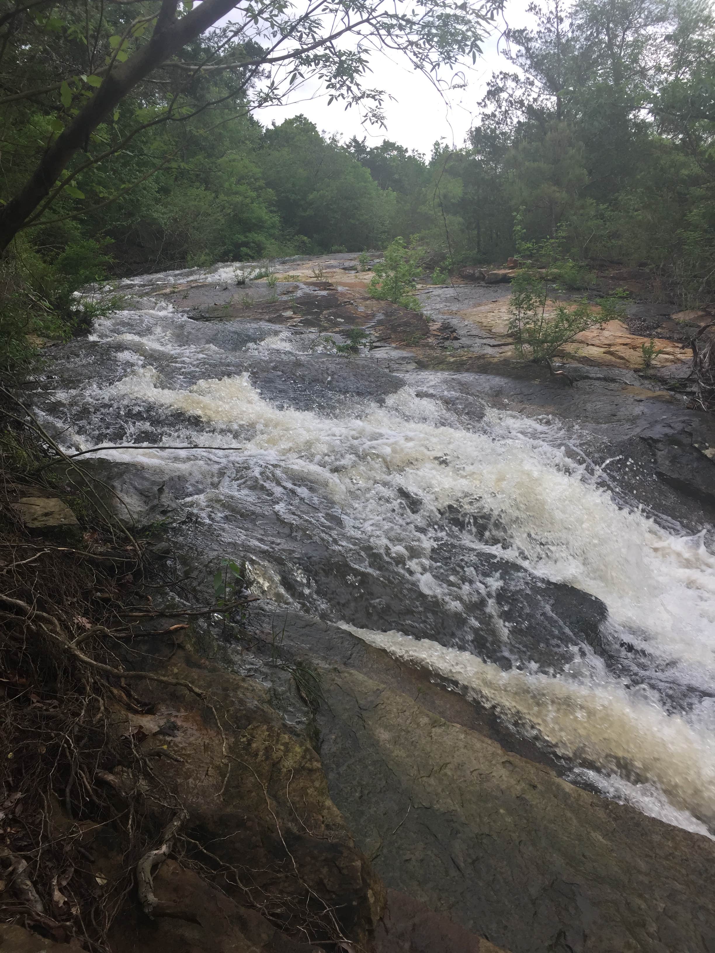 Camper-submitted photo at Woolly Hollow State Park — Wooly Hollow State Park near Little Rock, AR