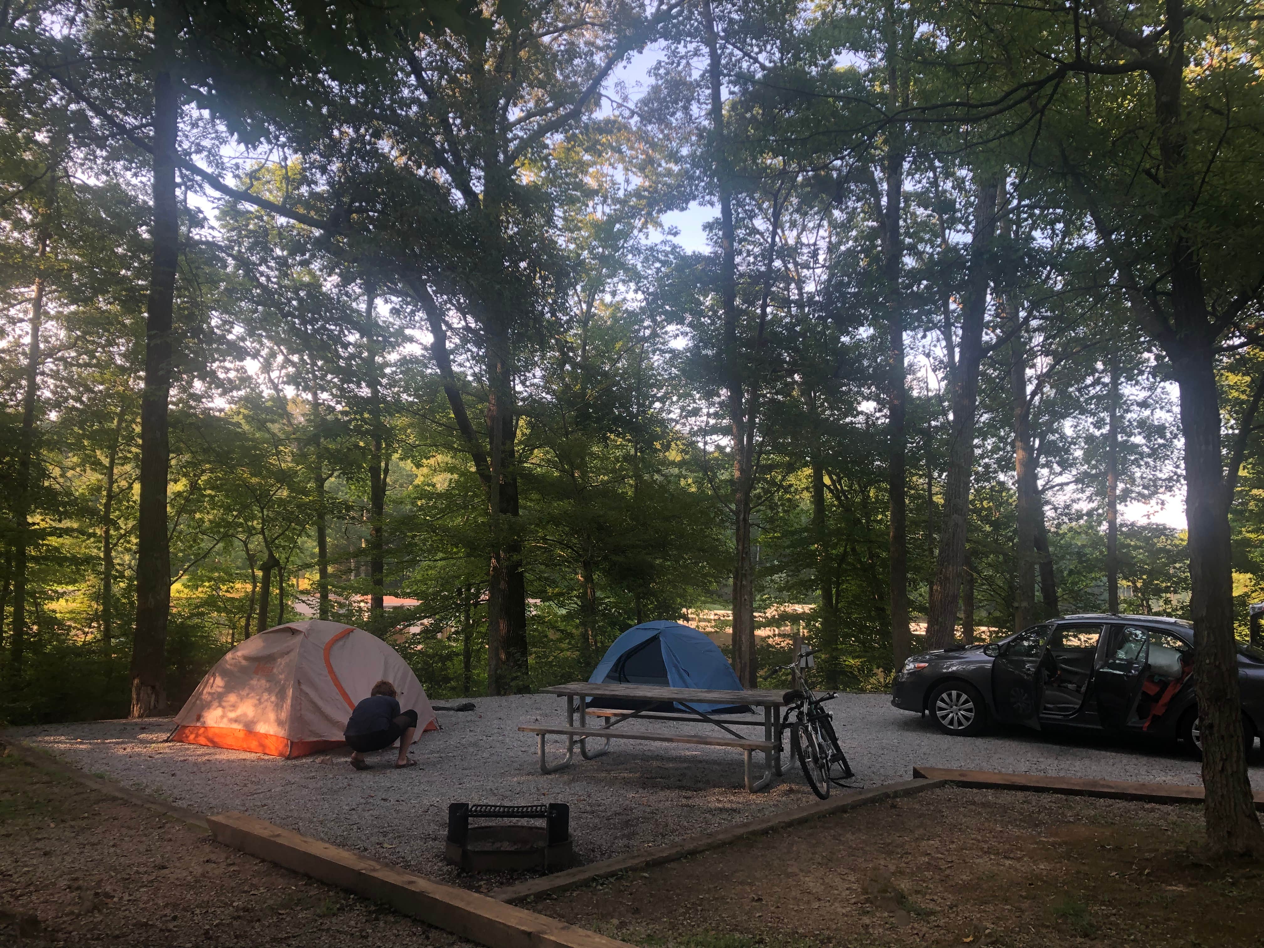 Pin oak clearance campground natchez trace