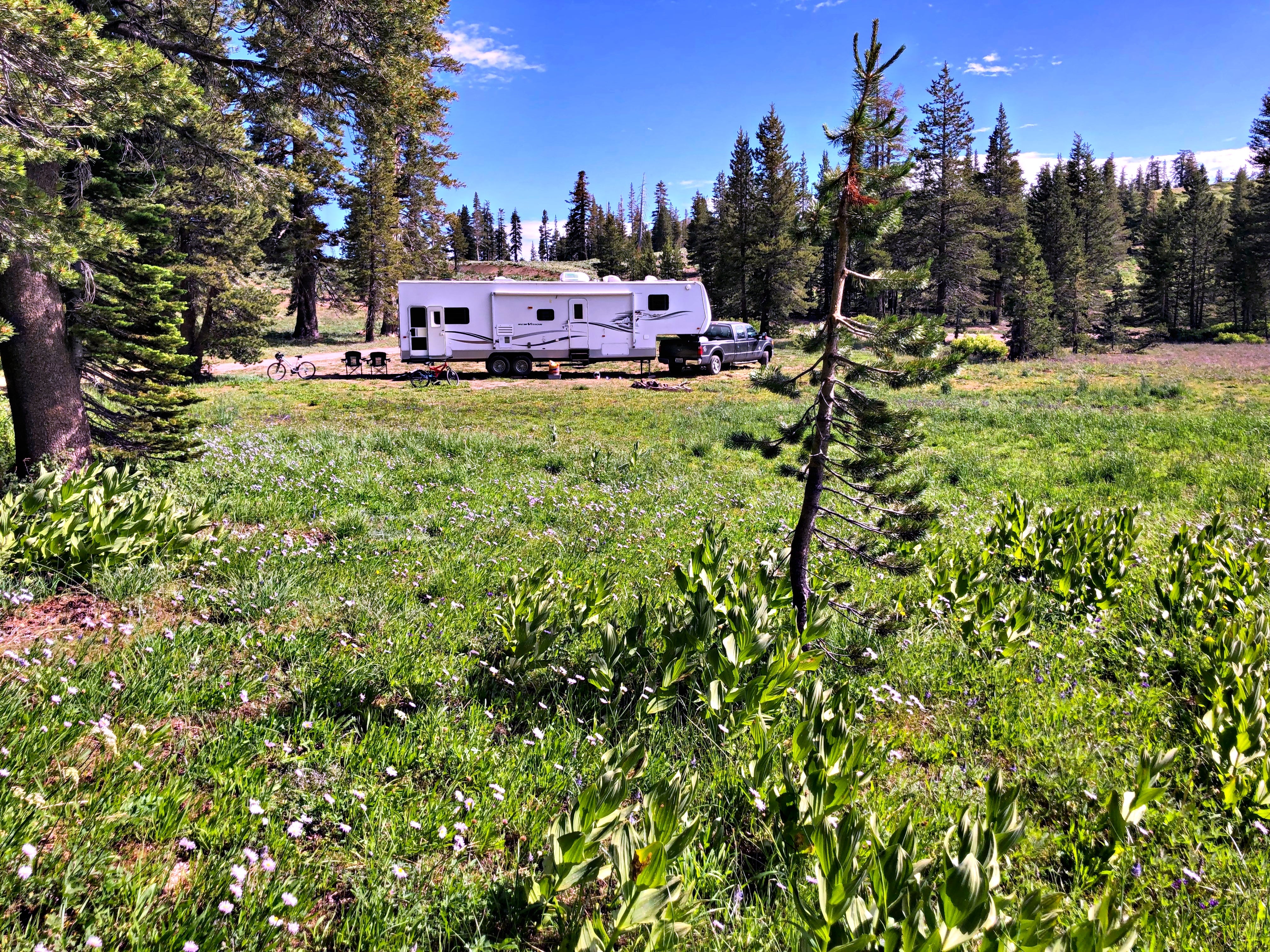 Camper submitted image from Dispersed USFS - 2