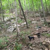 Review photo of Monte Sano State Park Campground by Shelly S., June 30, 2016