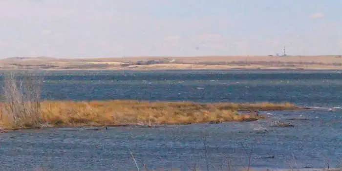 Camper submitted image from Wolf Creek Campground