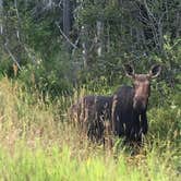 Review photo of Cathedral Pines Campground by Wayne B., August 8, 2019